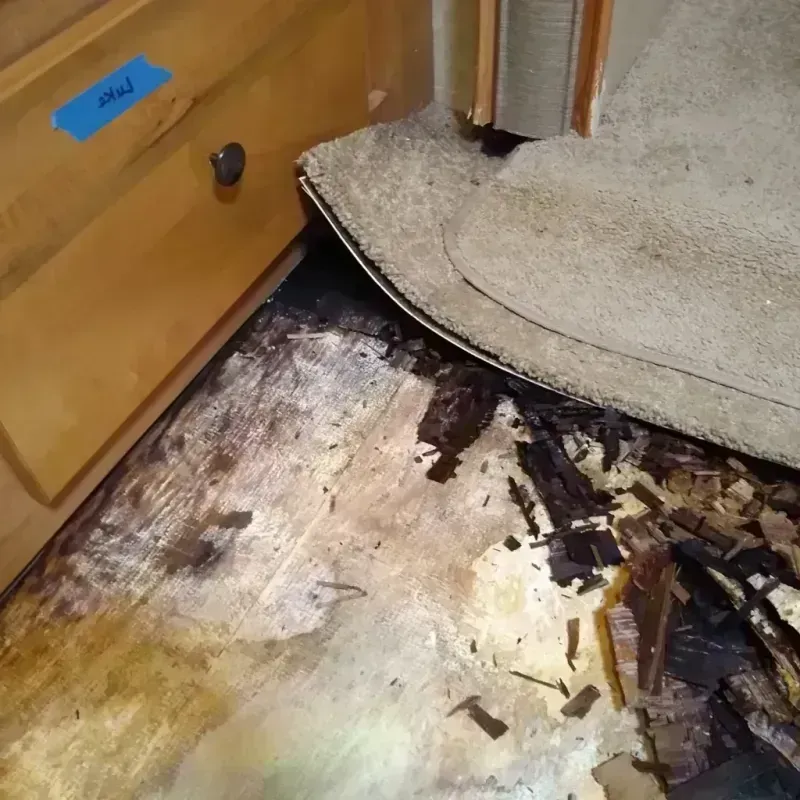 Wood Floor Water Damage in Somerset County, NJ